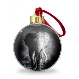 Ёлочный шар с принтом Слон в Новосибирске, Пластик | Диаметр: 77 мм | africa | animal | big | black   white | elephant | go | road | savannah | wild | африка | большой | дикий | дорога | животное | идет | саванна | слон | черно   белый
