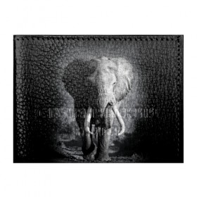 Обложка для студенческого билета с принтом Слон в Новосибирске, натуральная кожа | Размер: 11*8 см; Печать на всей внешней стороне | africa | animal | big | black   white | elephant | go | road | savannah | wild | африка | большой | дикий | дорога | животное | идет | саванна | слон | черно   белый