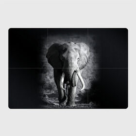Магнитный плакат 3Х2 с принтом Слон в Новосибирске, Полимерный материал с магнитным слоем | 6 деталей размером 9*9 см | africa | animal | big | black   white | elephant | go | road | savannah | wild | африка | большой | дикий | дорога | животное | идет | саванна | слон | черно   белый