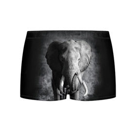 Мужские трусы 3D с принтом Слон в Новосибирске, 50% хлопок, 50% полиэстер | классическая посадка, на поясе мягкая тканевая резинка | africa | animal | big | black   white | elephant | go | road | savannah | wild | африка | большой | дикий | дорога | животное | идет | саванна | слон | черно   белый