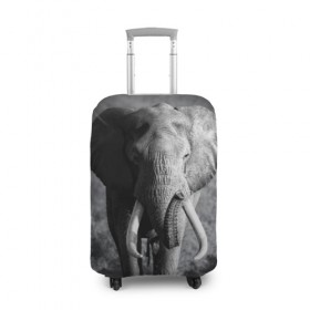 Чехол для чемодана 3D с принтом Слон в Новосибирске, 86% полиэфир, 14% спандекс | двустороннее нанесение принта, прорези для ручек и колес | africa | animal | big | black   white | elephant | go | road | savannah | wild | африка | большой | дикий | дорога | животное | идет | саванна | слон | черно   белый