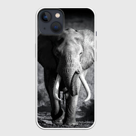 Чехол для iPhone 13 с принтом Слон в Новосибирске,  |  | africa | animal | big | black   white | elephant | go | road | savannah | wild | африка | большой | дикий | дорога | животное | идет | саванна | слон | черно   белый