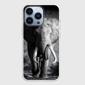 Чехол для iPhone 13 Pro с принтом Слон в Новосибирске,  |  | Тематика изображения на принте: africa | animal | big | black   white | elephant | go | road | savannah | wild | африка | большой | дикий | дорога | животное | идет | саванна | слон | черно   белый