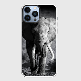 Чехол для iPhone 13 Pro Max с принтом Слон в Новосибирске,  |  | africa | animal | big | black   white | elephant | go | road | savannah | wild | африка | большой | дикий | дорога | животное | идет | саванна | слон | черно   белый