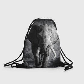 Рюкзак-мешок 3D с принтом Слон в Новосибирске, 100% полиэстер | плотность ткани — 200 г/м2, размер — 35 х 45 см; лямки — толстые шнурки, застежка на шнуровке, без карманов и подкладки | africa | animal | big | black   white | elephant | go | road | savannah | wild | африка | большой | дикий | дорога | животное | идет | саванна | слон | черно   белый