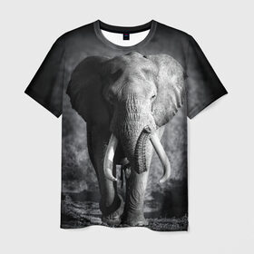 Мужская футболка 3D с принтом Слон в Новосибирске, 100% полиэфир | прямой крой, круглый вырез горловины, длина до линии бедер | africa | animal | big | black   white | elephant | go | road | savannah | wild | африка | большой | дикий | дорога | животное | идет | саванна | слон | черно   белый