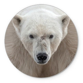 Коврик круглый с принтом Белый медведь в Новосибирске, резина и полиэстер | круглая форма, изображение наносится на всю лицевую часть | animal | bear | eyes | head | north | polar | predator | white | wild | белый | взгляд | голова | дикий | животное | медведь | полярный | север | хищник