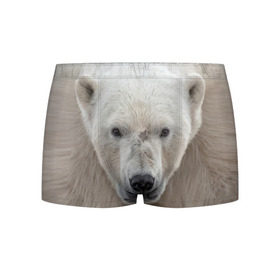 Мужские трусы 3D с принтом Белый медведь в Новосибирске, 50% хлопок, 50% полиэстер | классическая посадка, на поясе мягкая тканевая резинка | animal | bear | eyes | head | north | polar | predator | white | wild | белый | взгляд | голова | дикий | животное | медведь | полярный | север | хищник