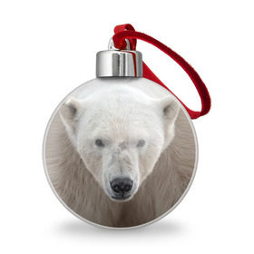 Ёлочный шар с принтом Белый медведь в Новосибирске, Пластик | Диаметр: 77 мм | Тематика изображения на принте: animal | bear | eyes | head | north | polar | predator | white | wild | белый | взгляд | голова | дикий | животное | медведь | полярный | север | хищник