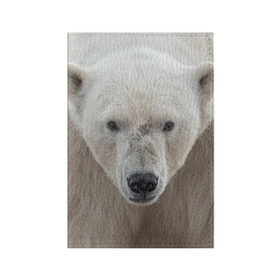 Обложка для паспорта матовая кожа с принтом Белый медведь в Новосибирске, натуральная матовая кожа | размер 19,3 х 13,7 см; прозрачные пластиковые крепления | Тематика изображения на принте: animal | bear | eyes | head | north | polar | predator | white | wild | белый | взгляд | голова | дикий | животное | медведь | полярный | север | хищник