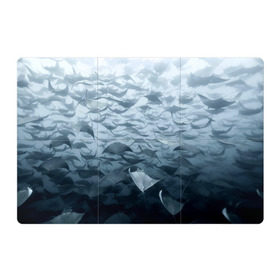 Магнитный плакат 3Х2 с принтом Электрические скаты в Новосибирске, Полимерный материал с магнитным слоем | 6 деталей размером 9*9 см | Тематика изображения на принте: depth | fish | lot | ocean | power | rays | school | sea | water | вода | глубина | косяк | много | море | океан | рыбы | скаты | электрические