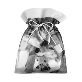 Подарочный 3D мешок с принтом Волчья семья в Новосибирске, 100% полиэстер | Размер: 29*39 см | animals | black   white | family | love | predators | wild | wolves | волки | дикие | животные | любовь | семья | хищники | черно   белый
