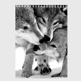 Скетчбук с принтом Волчья семья в Новосибирске, 100% бумага
 | 48 листов, плотность листов — 100 г/м2, плотность картонной обложки — 250 г/м2. Листы скреплены сверху удобной пружинной спиралью | animals | black   white | family | love | predators | wild | wolves | волки | дикие | животные | любовь | семья | хищники | черно   белый
