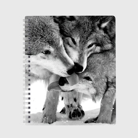 Тетрадь с принтом Волчья семья в Новосибирске, 100% бумага | 48 листов, плотность листов — 60 г/м2, плотность картонной обложки — 250 г/м2. Листы скреплены сбоку удобной пружинной спиралью. Уголки страниц и обложки скругленные. Цвет линий — светло-серый
 | animals | black   white | family | love | predators | wild | wolves | волки | дикие | животные | любовь | семья | хищники | черно   белый