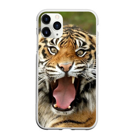 Чехол для iPhone 11 Pro Max матовый с принтом Тигр в Новосибирске, Силикон |  | angry | animal | beast | jaws | predator | teeth | tiger | животное | зверь | злой | клыки | оскал | пасть | тигр | хищник