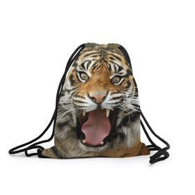 Рюкзак-мешок 3D с принтом Тигр в Новосибирске, 100% полиэстер | плотность ткани — 200 г/м2, размер — 35 х 45 см; лямки — толстые шнурки, застежка на шнуровке, без карманов и подкладки | angry | animal | beast | jaws | predator | teeth | tiger | животное | зверь | злой | клыки | оскал | пасть | тигр | хищник