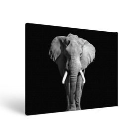 Холст прямоугольный с принтом Слон в Новосибирске, 100% ПВХ |  | Тематика изображения на принте: africa | big | black   white | elephant is an animal | shroud | tusks | африка | бивни | большой | животное | идет | савана | слон | черно   белый