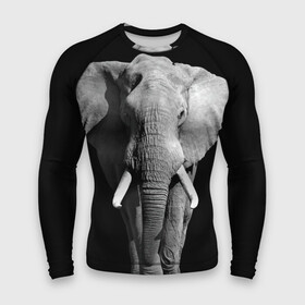 Мужской рашгард 3D с принтом Слон в Новосибирске,  |  | africa | big | black   white | elephant is an animal | shroud | tusks | африка | бивни | большой | животное | идет | савана | слон | черно   белый