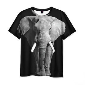 Мужская футболка 3D с принтом Слон в Новосибирске, 100% полиэфир | прямой крой, круглый вырез горловины, длина до линии бедер | africa | big | black   white | elephant is an animal | shroud | tusks | африка | бивни | большой | животное | идет | савана | слон | черно   белый