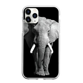 Чехол для iPhone 11 Pro матовый с принтом Слон в Новосибирске, Силикон |  | africa | big | black   white | elephant is an animal | shroud | tusks | африка | бивни | большой | животное | идет | савана | слон | черно   белый