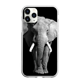 Чехол для iPhone 11 Pro Max матовый с принтом Слон в Новосибирске, Силикон |  | Тематика изображения на принте: africa | big | black   white | elephant is an animal | shroud | tusks | африка | бивни | большой | животное | идет | савана | слон | черно   белый