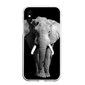 Чехол для iPhone XS Max матовый с принтом Слон в Новосибирске, Силикон | Область печати: задняя сторона чехла, без боковых панелей | Тематика изображения на принте: africa | big | black   white | elephant is an animal | shroud | tusks | африка | бивни | большой | животное | идет | савана | слон | черно   белый