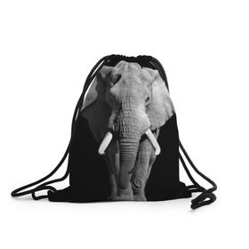 Рюкзак-мешок 3D с принтом Слон в Новосибирске, 100% полиэстер | плотность ткани — 200 г/м2, размер — 35 х 45 см; лямки — толстые шнурки, застежка на шнуровке, без карманов и подкладки | africa | big | black   white | elephant is an animal | shroud | tusks | африка | бивни | большой | животное | идет | савана | слон | черно   белый