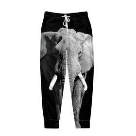 Мужские брюки 3D с принтом Слон в Новосибирске, 100% полиэстер | манжеты по низу, эластичный пояс регулируется шнурком, по бокам два кармана без застежек, внутренняя часть кармана из мелкой сетки | africa | big | black   white | elephant is an animal | shroud | tusks | африка | бивни | большой | животное | идет | савана | слон | черно   белый