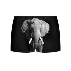 Мужские трусы 3D с принтом Слон в Новосибирске, 50% хлопок, 50% полиэстер | классическая посадка, на поясе мягкая тканевая резинка | africa | big | black   white | elephant is an animal | shroud | tusks | африка | бивни | большой | животное | идет | савана | слон | черно   белый