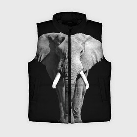 Женский жилет утепленный 3D с принтом Слон в Новосибирске,  |  | africa | big | black   white | elephant is an animal | shroud | tusks | африка | бивни | большой | животное | идет | савана | слон | черно   белый