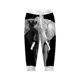 Детские брюки 3D с принтом Слон в Новосибирске, 100% полиэстер | манжеты по низу, эластичный пояс регулируется шнурком, по бокам два кармана без застежек, внутренняя часть кармана из мелкой сетки | africa | big | black   white | elephant is an animal | shroud | tusks | африка | бивни | большой | животное | идет | савана | слон | черно   белый