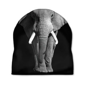 Шапка 3D с принтом Слон в Новосибирске, 100% полиэстер | универсальный размер, печать по всей поверхности изделия | africa | big | black   white | elephant is an animal | shroud | tusks | африка | бивни | большой | животное | идет | савана | слон | черно   белый