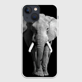 Чехол для iPhone 13 mini с принтом Слон в Новосибирске,  |  | africa | big | black   white | elephant is an animal | shroud | tusks | африка | бивни | большой | животное | идет | савана | слон | черно   белый