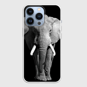 Чехол для iPhone 13 Pro с принтом Слон в Новосибирске,  |  | africa | big | black   white | elephant is an animal | shroud | tusks | африка | бивни | большой | животное | идет | савана | слон | черно   белый