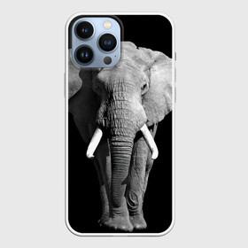 Чехол для iPhone 13 Pro Max с принтом Слон в Новосибирске,  |  | africa | big | black   white | elephant is an animal | shroud | tusks | африка | бивни | большой | животное | идет | савана | слон | черно   белый