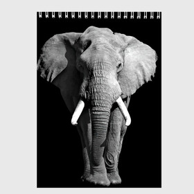 Скетчбук с принтом Слон в Новосибирске, 100% бумага
 | 48 листов, плотность листов — 100 г/м2, плотность картонной обложки — 250 г/м2. Листы скреплены сверху удобной пружинной спиралью | africa | big | black   white | elephant is an animal | shroud | tusks | африка | бивни | большой | животное | идет | савана | слон | черно   белый