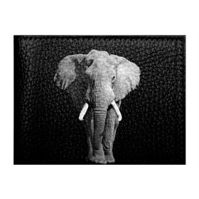 Обложка для студенческого билета с принтом Слон в Новосибирске, натуральная кожа | Размер: 11*8 см; Печать на всей внешней стороне | Тематика изображения на принте: africa | big | black   white | elephant is an animal | shroud | tusks | африка | бивни | большой | животное | идет | савана | слон | черно   белый
