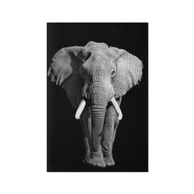 Обложка для паспорта матовая кожа с принтом Слон в Новосибирске, натуральная матовая кожа | размер 19,3 х 13,7 см; прозрачные пластиковые крепления | africa | big | black   white | elephant is an animal | shroud | tusks | африка | бивни | большой | животное | идет | савана | слон | черно   белый