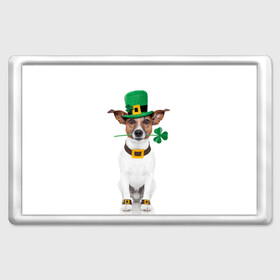 Магнит 45*70 с принтом Ирландия в Новосибирске, Пластик | Размер: 78*52 мм; Размер печати: 70*45 | Тематика изображения на принте: animal | breed | clover | dog | folk | fun | funny | hat | hero | ireland | irish | saint patrick | герой | животное | ирландия | ирландский | клевер | народный | порода | прикол | святой патрик | собака | шляпа | шутка
