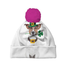 Шапка 3D c помпоном с принтом Ирландия в Новосибирске, 100% полиэстер | универсальный размер, печать по всей поверхности изделия | animal | breed | clover | dog | folk | fun | funny | hat | hero | ireland | irish | saint patrick | герой | животное | ирландия | ирландский | клевер | народный | порода | прикол | святой патрик | собака | шляпа | шутка