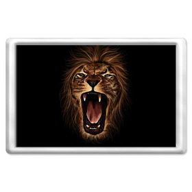 Магнит 45*70 с принтом Львиный рык в Новосибирске, Пластик | Размер: 78*52 мм; Размер печати: 70*45 | animal | beast | cat | feline | king | lion | meow | pussy | rage | roar | животное | зверь | король | кот | кошка | лев | львица | мяу | рык | хищник | царь | ярость