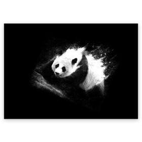 Поздравительная открытка с принтом Молочная панда в Новосибирске, 100% бумага | плотность бумаги 280 г/м2, матовая, на обратной стороне линовка и место для марки
 | Тематика изображения на принте: animal | bear | beast | milk | nature | panda | животное | зверь | медведь | молоко | панда | природа