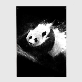Постер с принтом Молочная панда в Новосибирске, 100% бумага
 | бумага, плотность 150 мг. Матовая, но за счет высокого коэффициента гладкости имеет небольшой блеск и дает на свету блики, но в отличии от глянцевой бумаги не покрыта лаком | animal | bear | beast | milk | nature | panda | животное | зверь | медведь | молоко | панда | природа