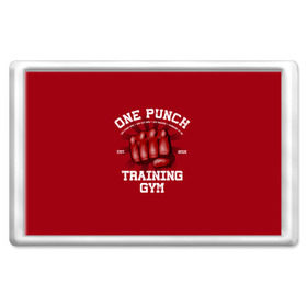 Магнит 45*70 с принтом One Punch Gym в Новосибирске, Пластик | Размер: 78*52 мм; Размер печати: 70*45 | boxing | combat | fight | fighter | kickboxing | muay thai | wrestling | боец | бой | бокс | боксер | драка | кикбоксинг | май тай