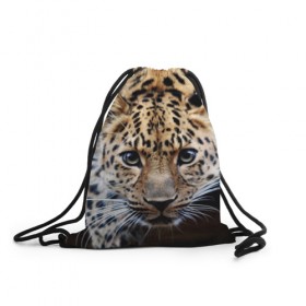 Рюкзак-мешок 3D с принтом Леопард в Новосибирске, 100% полиэстер | плотность ткани — 200 г/м2, размер — 35 х 45 см; лямки — толстые шнурки, застежка на шнуровке, без карманов и подкладки | взгляд | глаза | дикая кошка | леопард | хищник