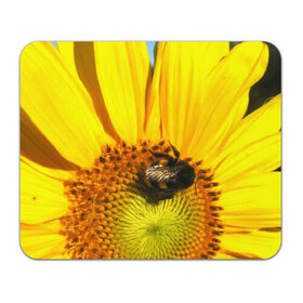 Коврик прямоугольный с принтом пчела на подсолнухе в Новосибирске, натуральный каучук | размер 230 х 185 мм; запечатка лицевой стороны | Тематика изображения на принте: лето | насекомое | подсолнух | пчела