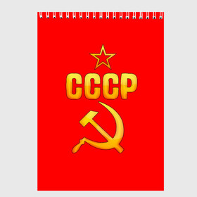 Скетчбук с принтом СССР в Новосибирске, 100% бумага
 | 48 листов, плотность листов — 100 г/м2, плотность картонной обложки — 250 г/м2. Листы скреплены сверху удобной пружинной спиралью | 9 мая | день победы | победа | праздник | россия | ссср