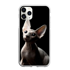 Чехол для iPhone 11 Pro Max матовый с принтом Сфинкс в Новосибирске, Силикон |  | black | cat | взгляд | кот | котик | котэ | кошка | сфинкс | уши | черный