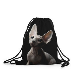 Рюкзак-мешок 3D с принтом Сфинкс в Новосибирске, 100% полиэстер | плотность ткани — 200 г/м2, размер — 35 х 45 см; лямки — толстые шнурки, застежка на шнуровке, без карманов и подкладки | black | cat | взгляд | кот | котик | котэ | кошка | сфинкс | уши | черный