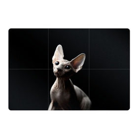Магнитный плакат 3Х2 с принтом Сфинкс в Новосибирске, Полимерный материал с магнитным слоем | 6 деталей размером 9*9 см | Тематика изображения на принте: black | cat | взгляд | кот | котик | котэ | кошка | сфинкс | уши | черный